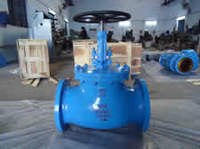 dual non return valves
