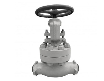 globle valve,duplex valves